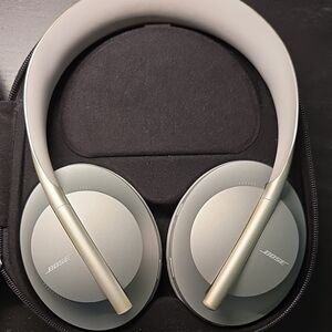 Bose Silver Wireless Headphones